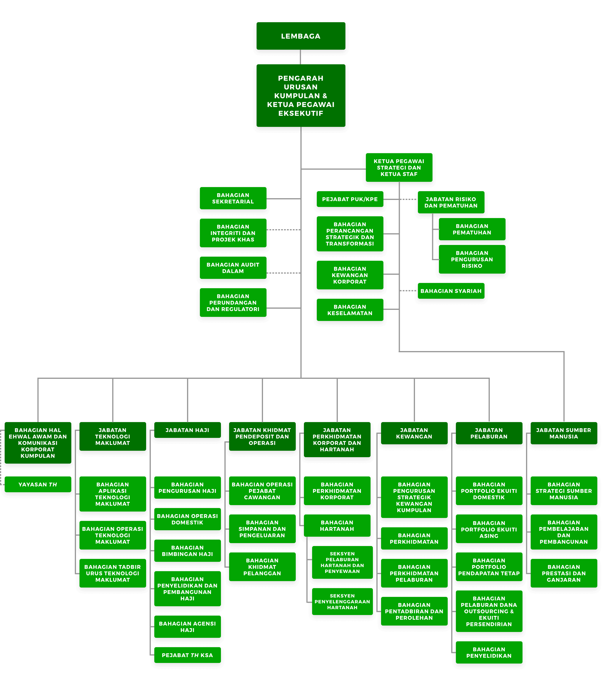 Carta Organisasi TH