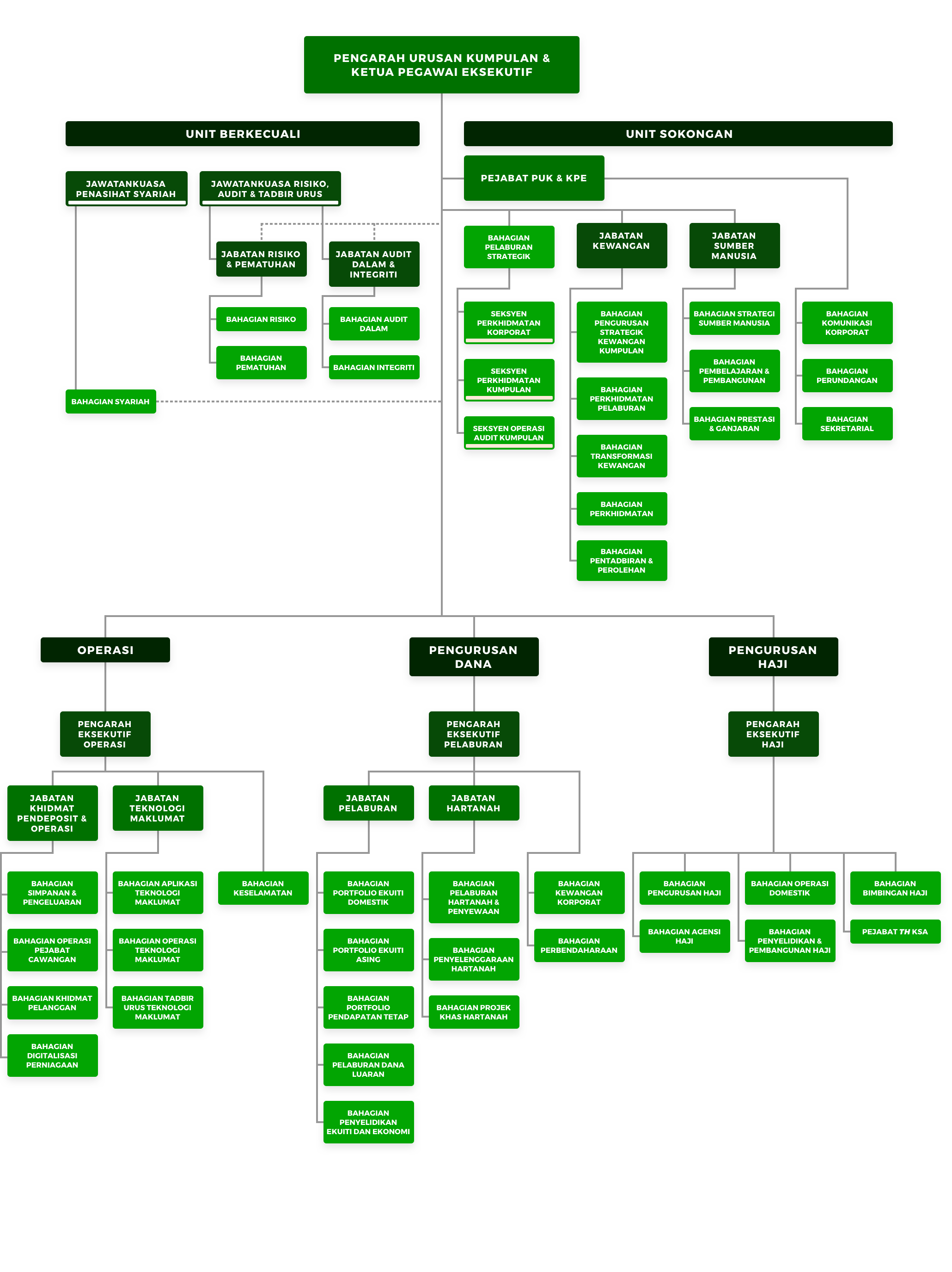 Carta Organisasi TH